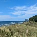 Rosy Mound Natural Area