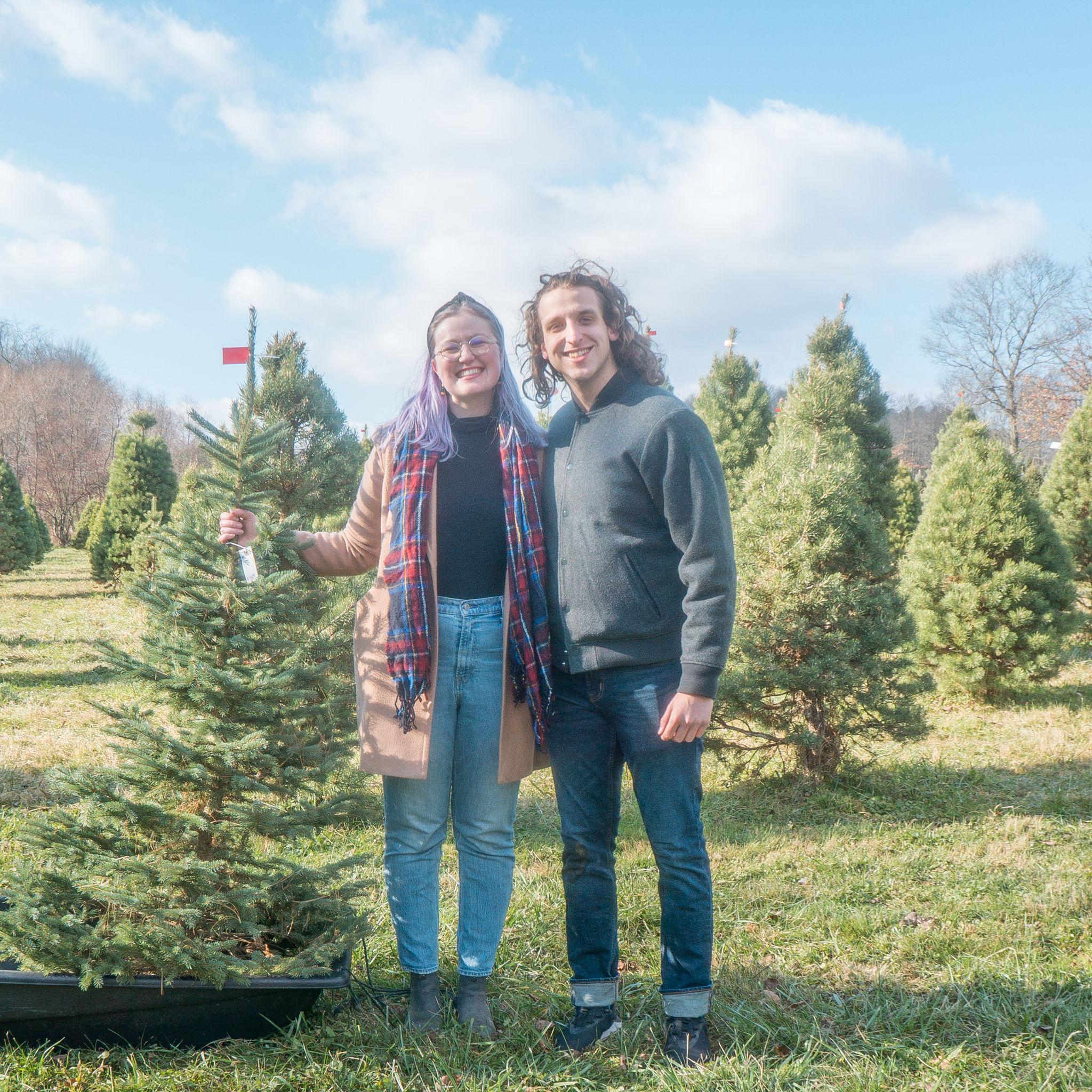 Getting our first Christmas tree!