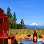 Stave & Stone Winery (Winery at the Vineyard)