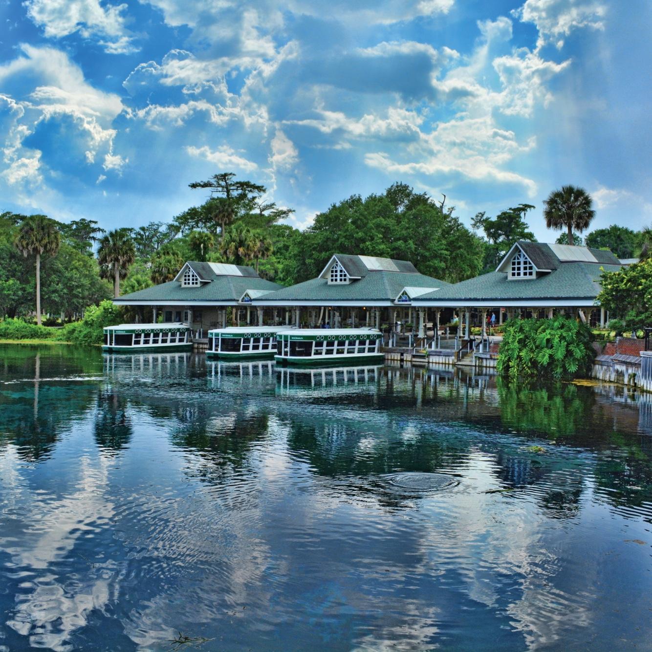 Glass Bottom Boat Tours