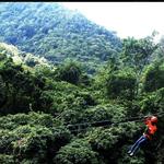Antigua Zipline Canopy Adventure from St John’s
