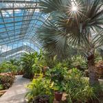 Foellinger-Freimann Botanical Conservatory