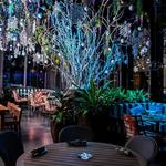 Juniper - Greenville