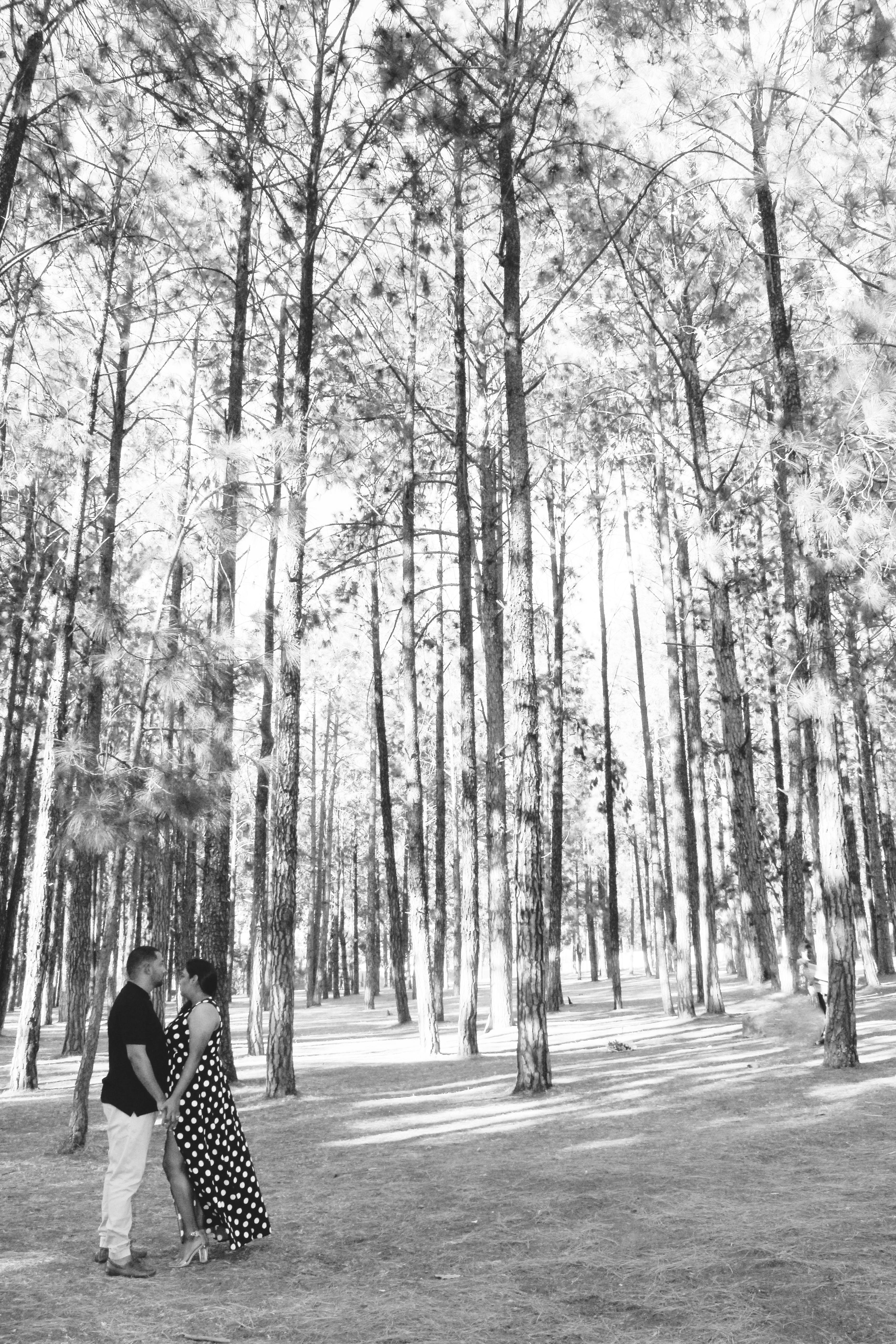 The Wedding Website of Varsha Babulall and Lester Jansen
