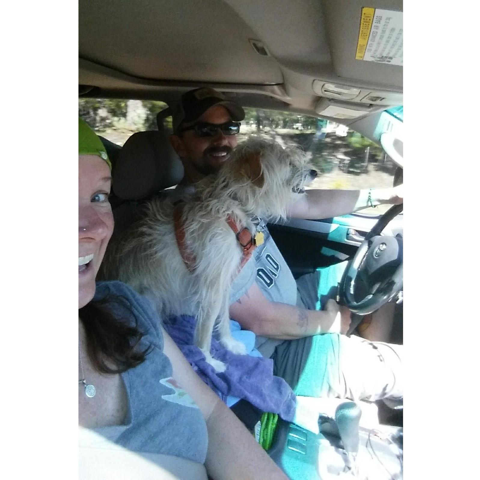 On our way back from a great weekend camping with our sidekick.