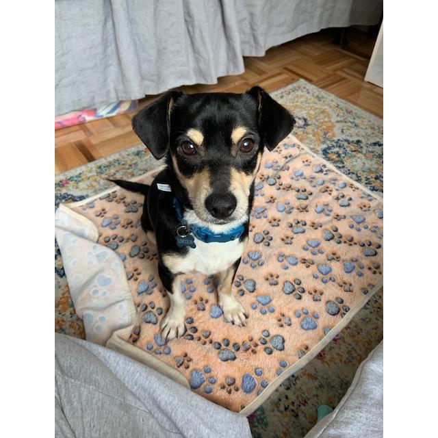 Lincoln has changed our lives and brought us even closer together <3