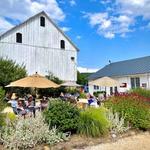 868 Estate Vineyards