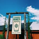 Climbing Bines Hop Farm & Brewery