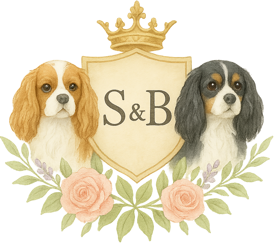 The Wedding Website of Skylar Long and Brennan Bull