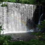 Puffers Pond