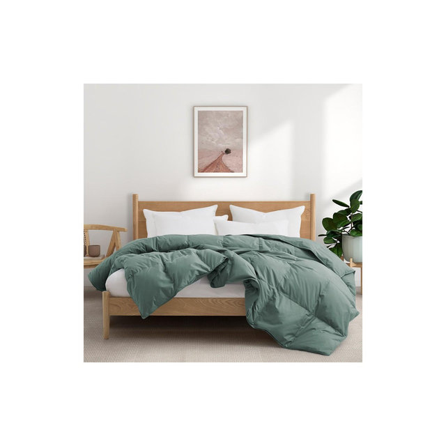 Puredown All Season 100% Organic Cotton Down Duvet Insert Medium Warmth Comforter, Green, Full/Queen