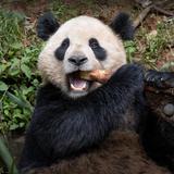 San Diego Zoo
