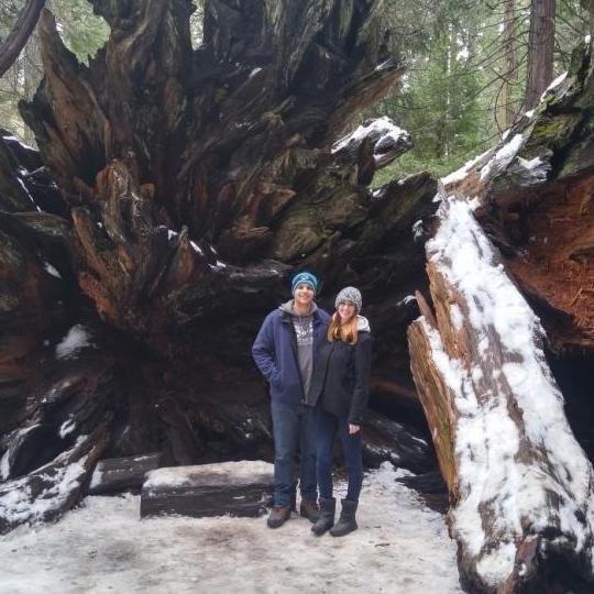 Calaveras Big Trees State Park