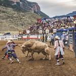 Cody Night Rodeo