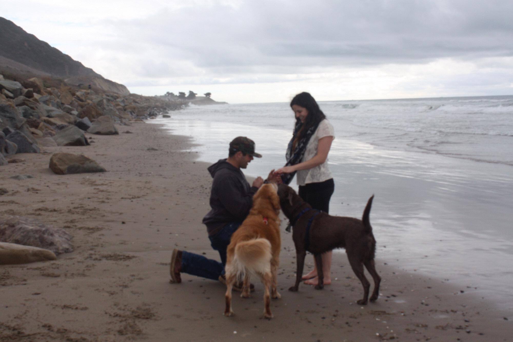 The Proposal