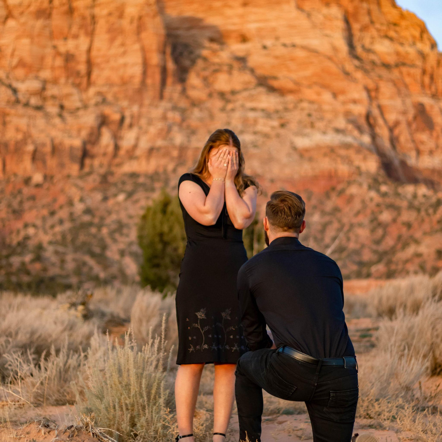 THE PROPOSAL!!!