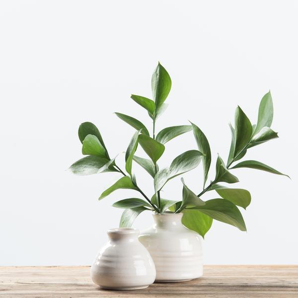 Hand-thrown Sara Vase