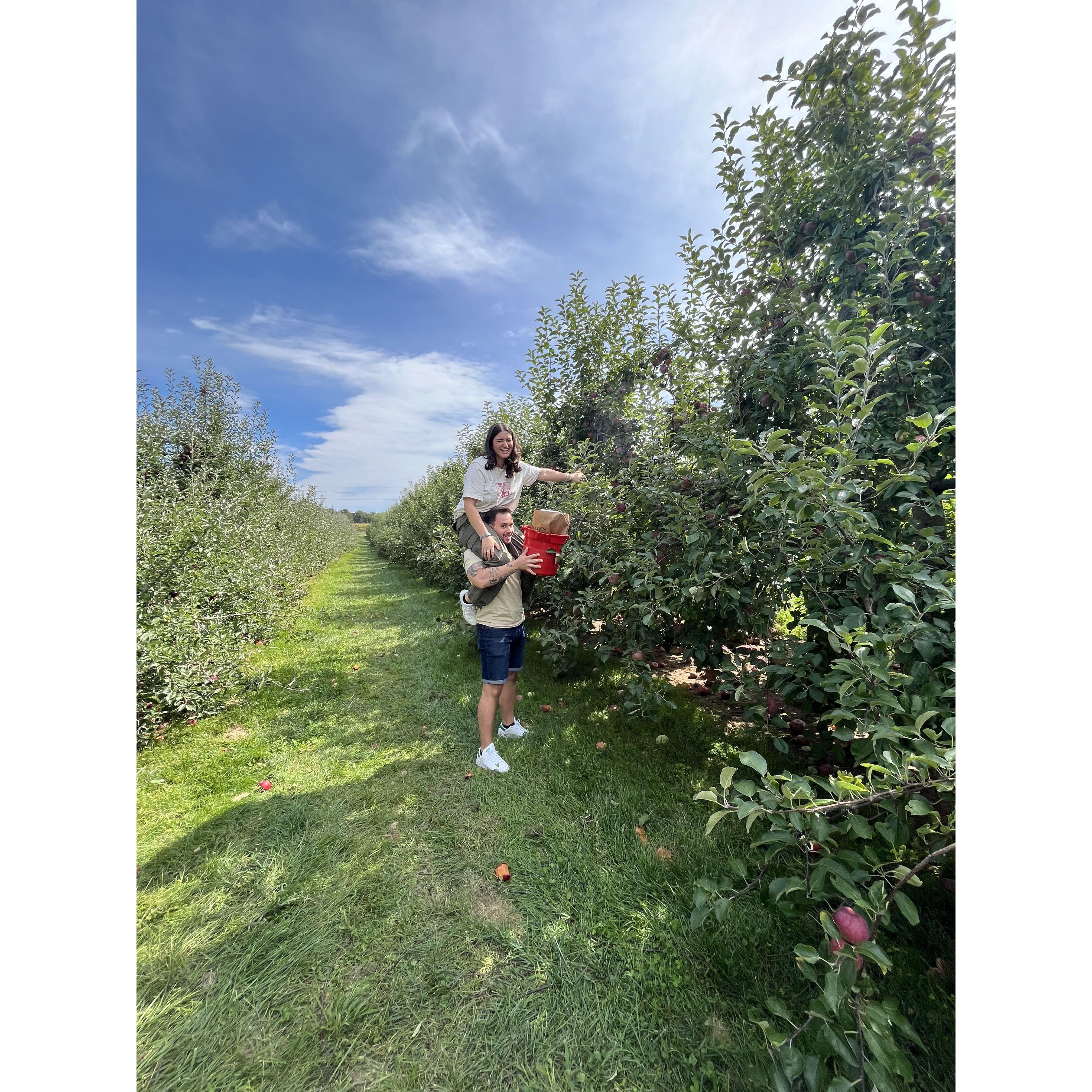 Going back to Rodrigos roots as a professional apple picker