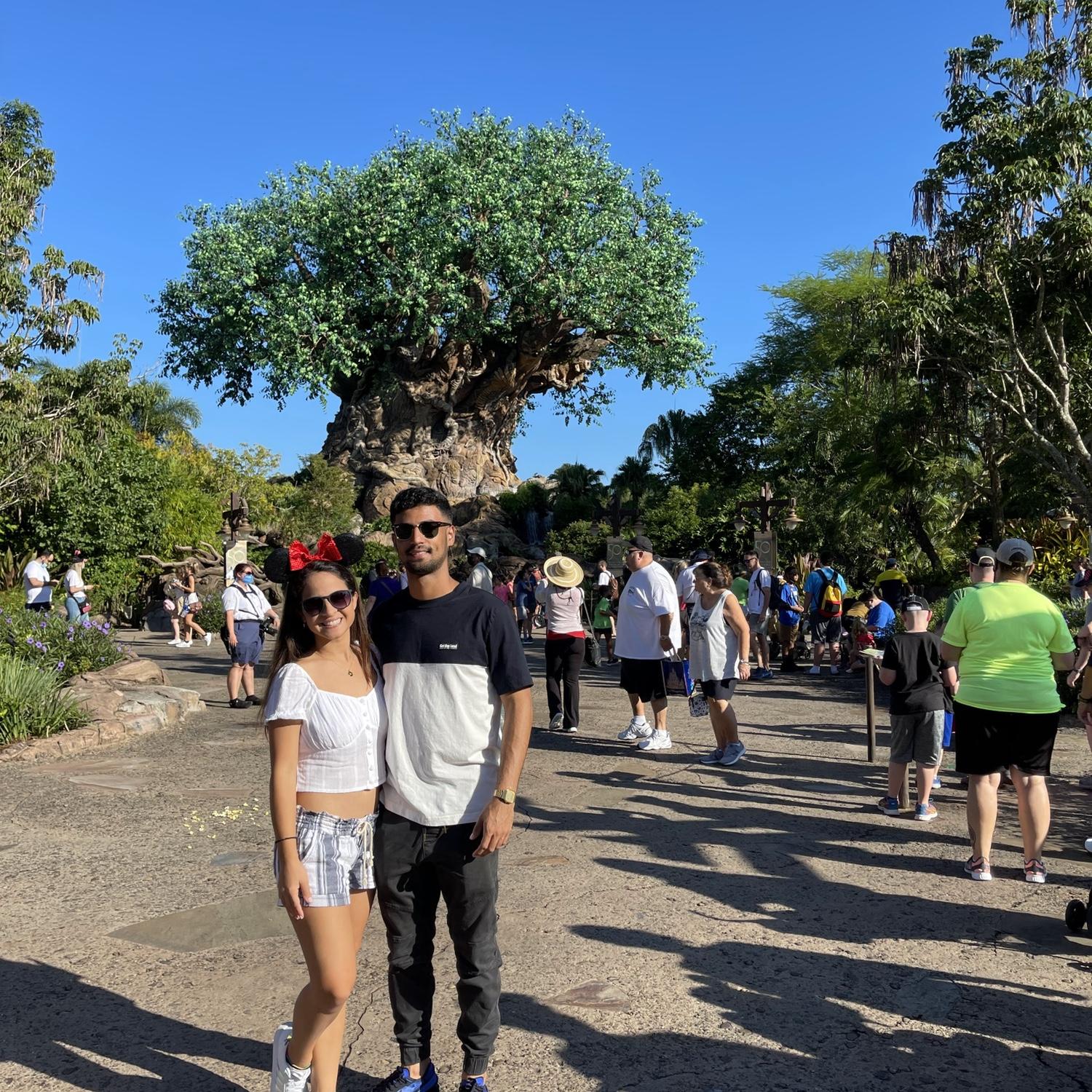 Viaje a Disney