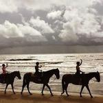 ride horses on the beach