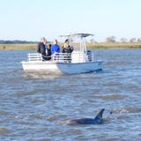Flipper Finders Boat & Sea Kayak Tours
