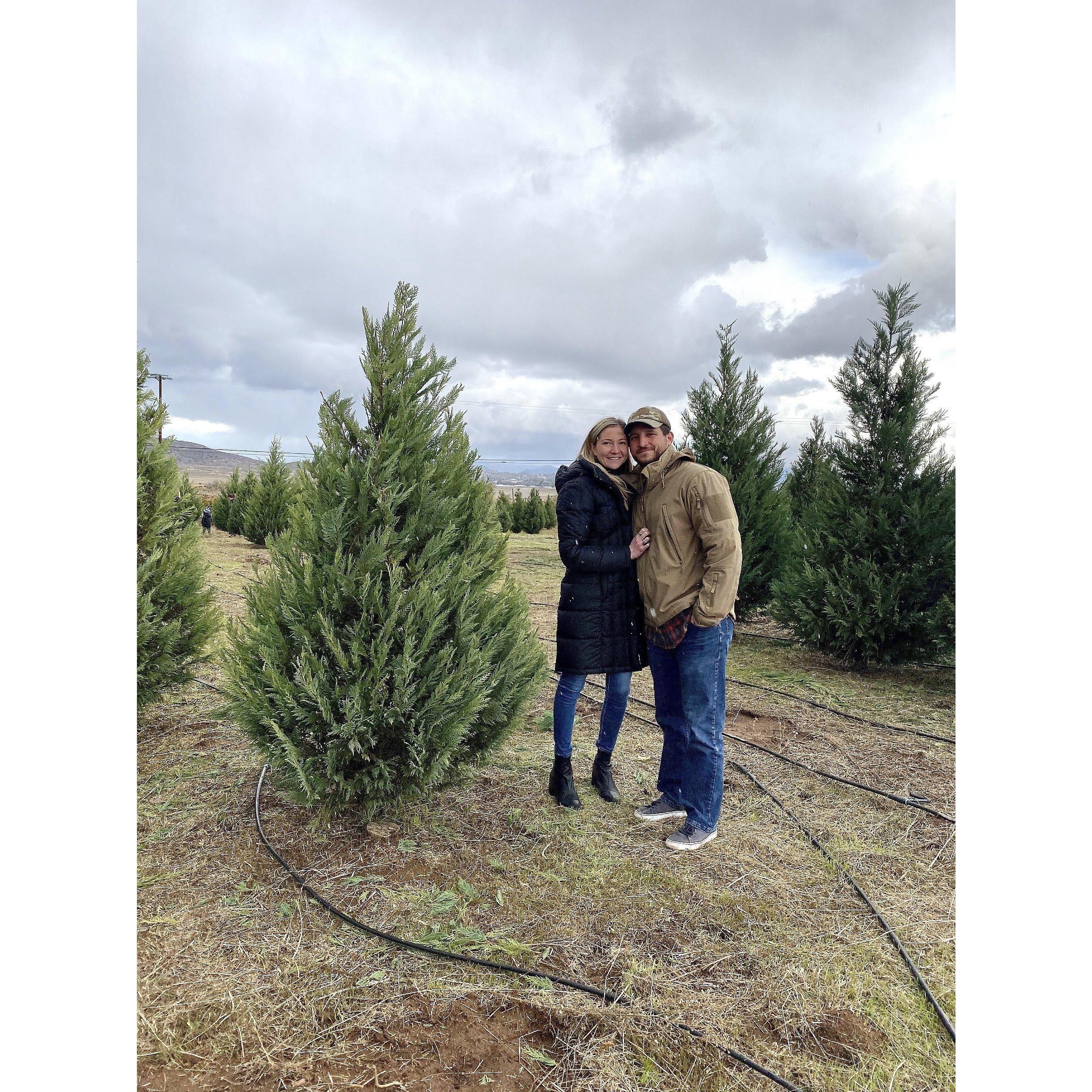 Cut down our first Christmas Tree!