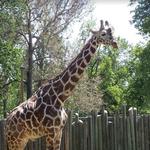 Zoo Boise