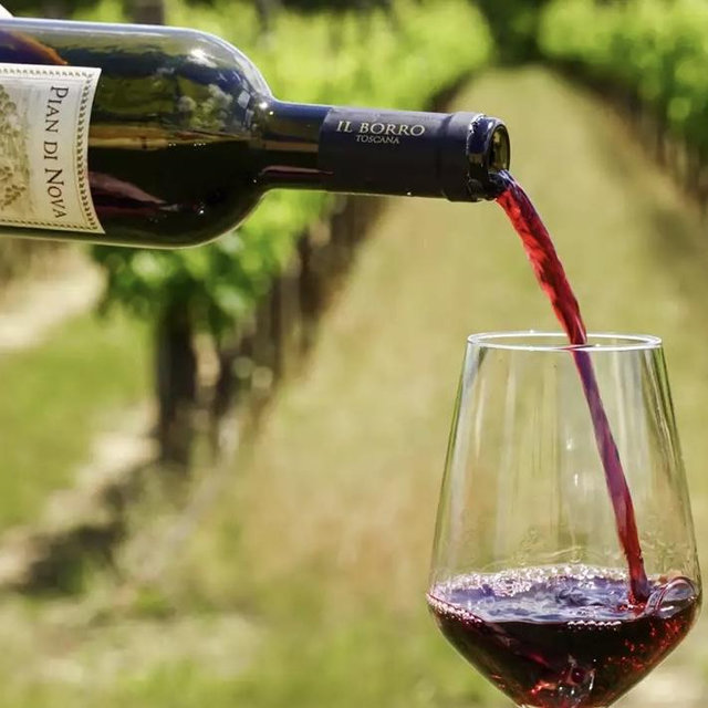 Wine Tour & Tasting at IL BORRO Toscana