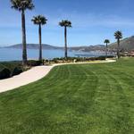 Shell Beach, Palisades Park