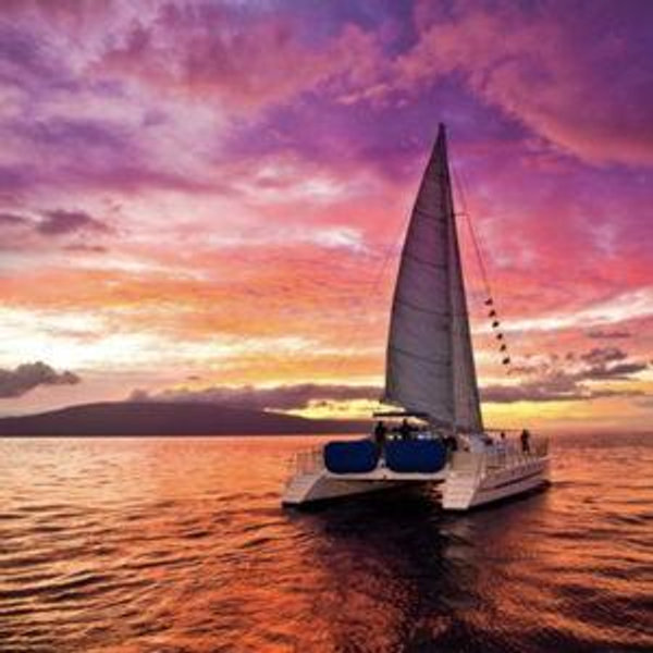 Sunset Dolphin Watching Cruise
