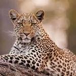 Cleveland Metroparks Zoo