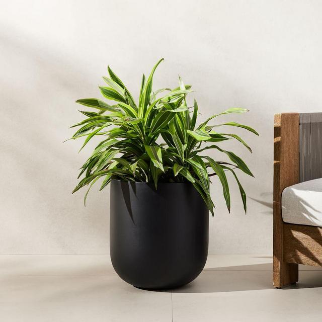 Radius Planter, Black, Medium