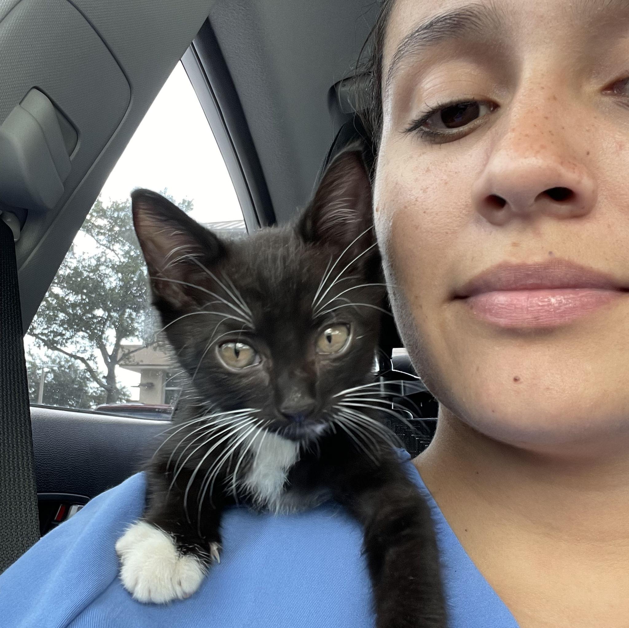 We got our first child, Dracula, after I started medical school in August 2022.