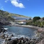Swim at the Cove Bay