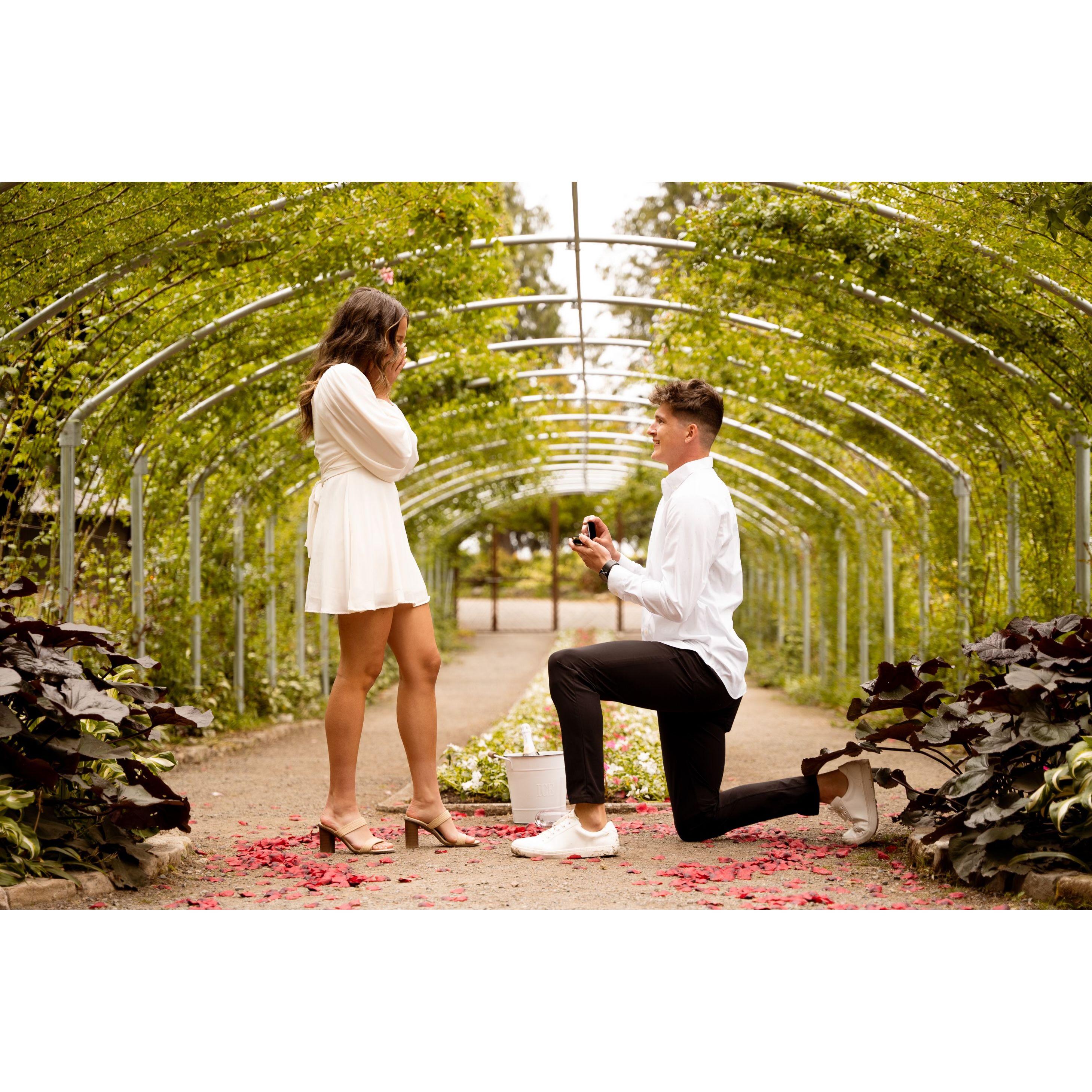 Engagement & Four Year Anniversary!