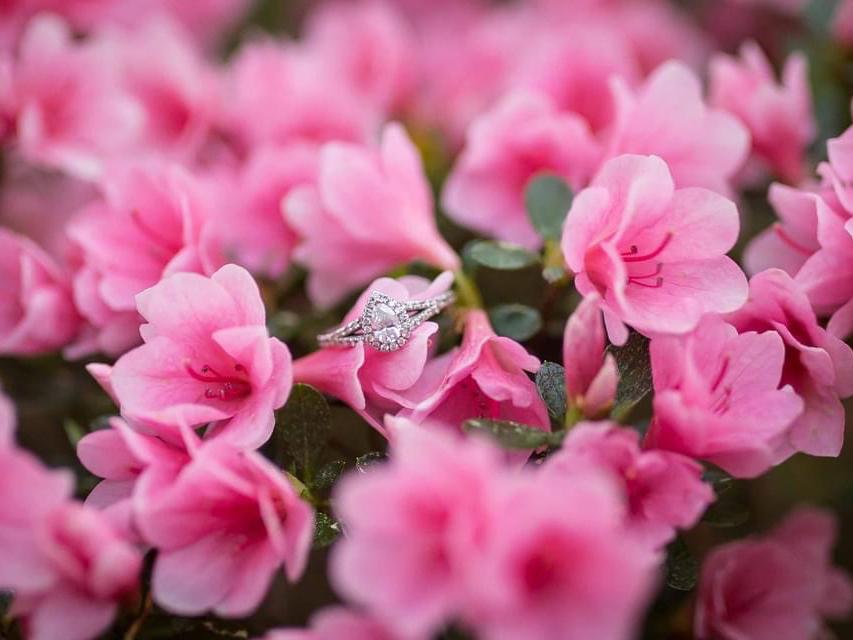 The Wedding Website of Rebekah Danielson and Stephen Howard