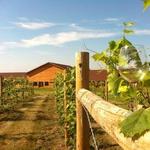 Calico Skies Vineyard and Winery