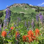 Hiking in Little Cottonwood Canyon