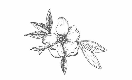 The Wedding Website of Georgia Sinclair and Josiah Krause