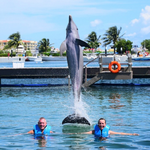 Delphinus Puerto Morelos