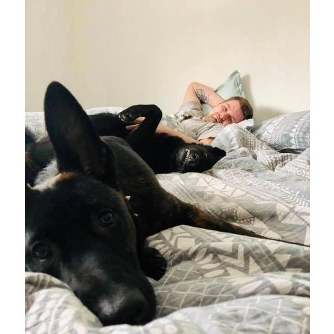 Doug's favourite way to spend a day, cuddling with his dogs!