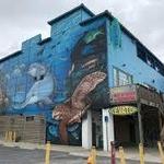 The Reef
