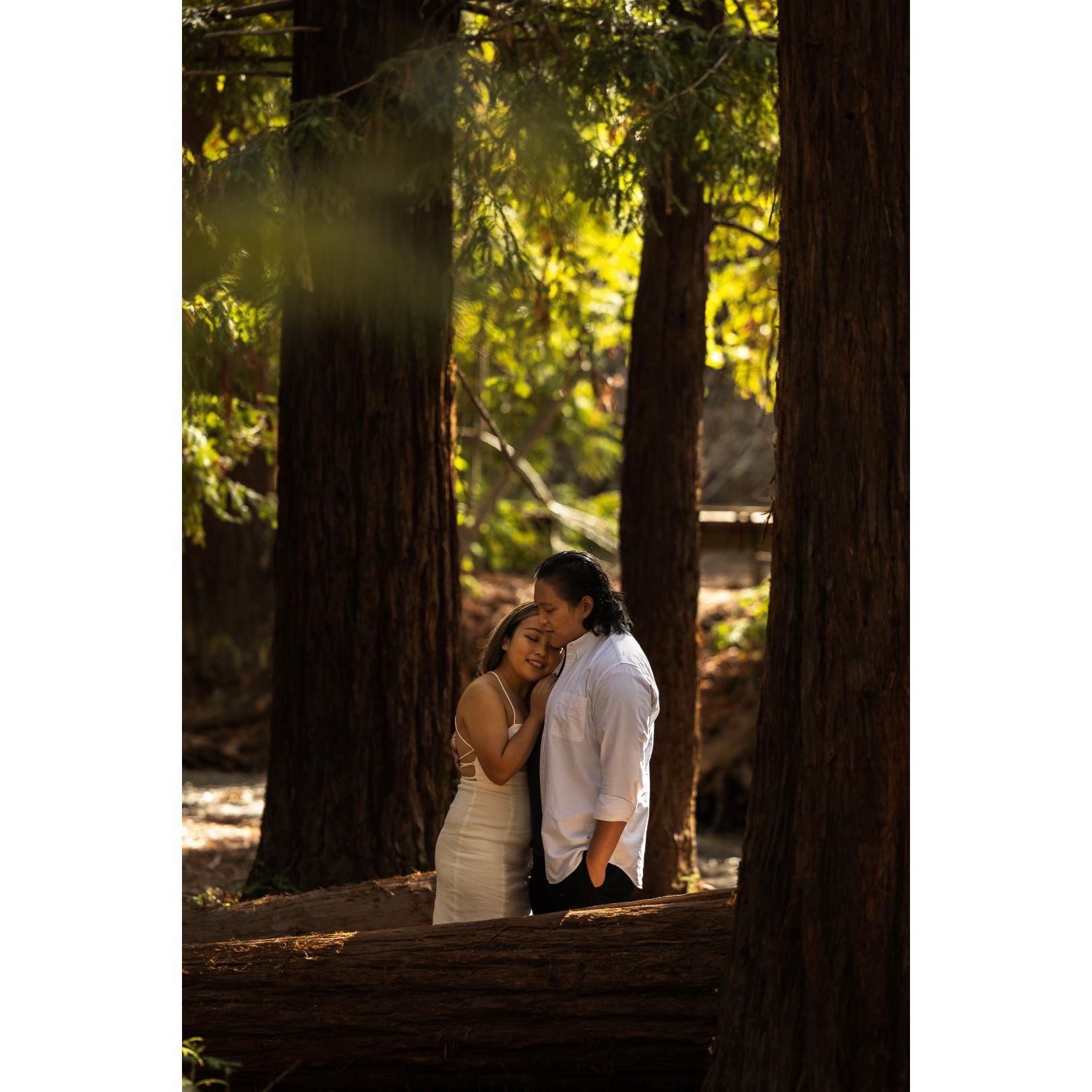 Engagement Photoshoot at Redwood Grove!