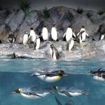 St. Louis Zoo