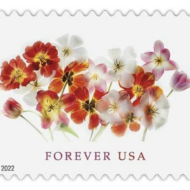 USPS Tulips (Sheet of 20) Postage Forever Stamps Beauty Flowers Garden Love 2022 Scott #5681