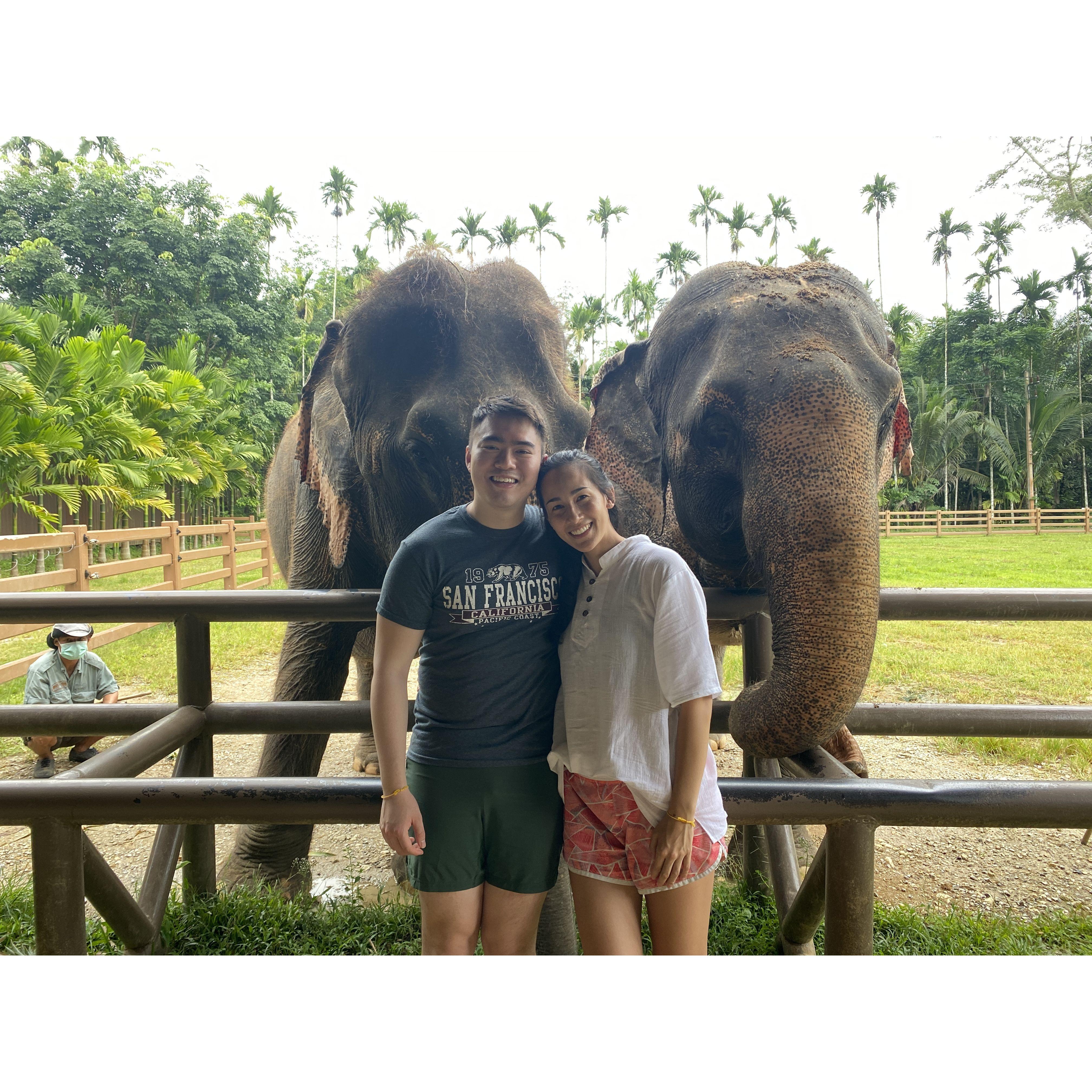 Meeting some elephants in Thailand