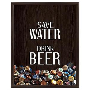 "Save Water Drink Beer" Graphic Shadow Box