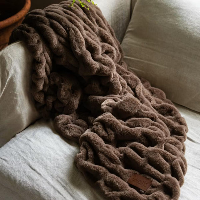 Brown Bear / Medium