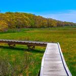 DNRT Frank Knowles/Little River Reserve