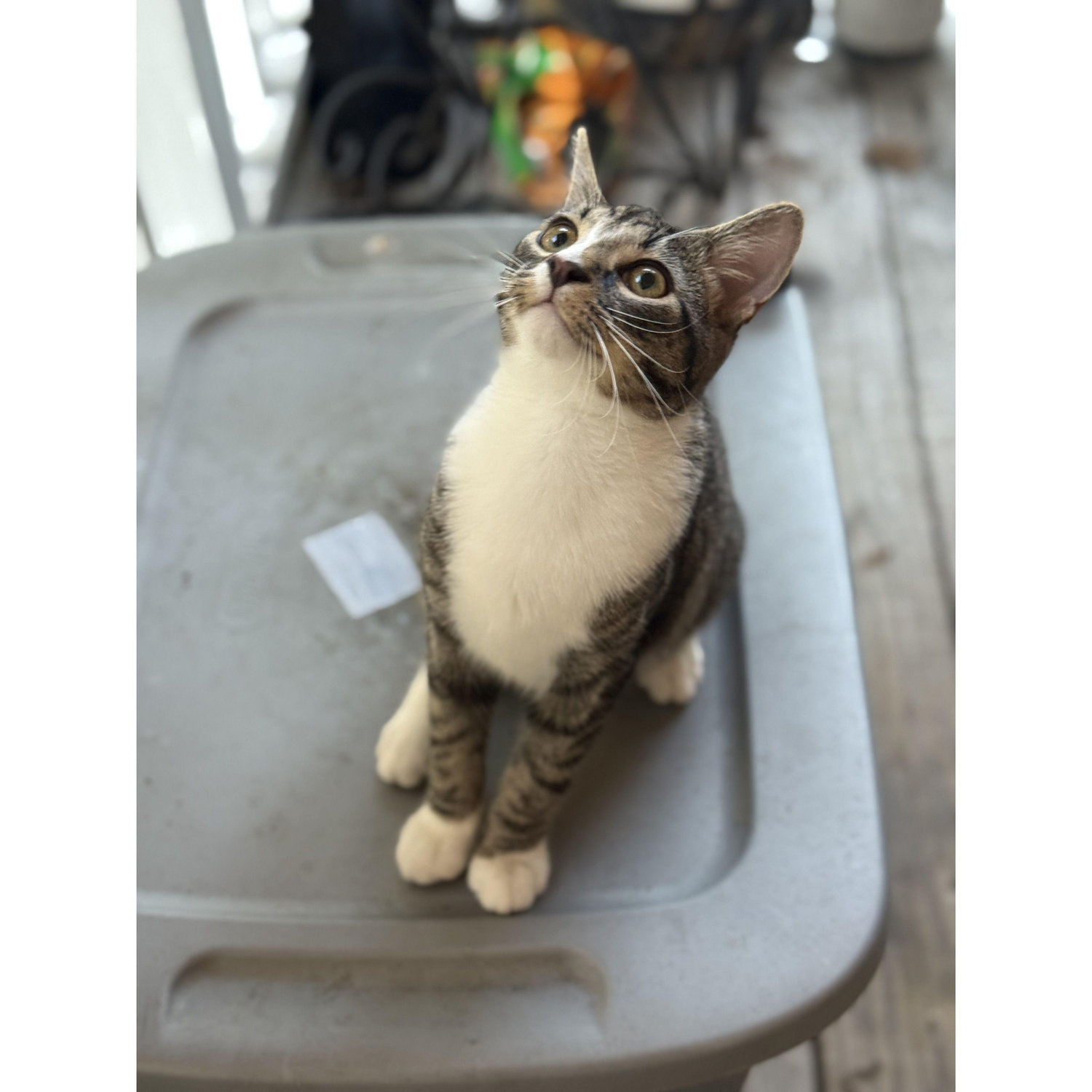 This is Zeus.